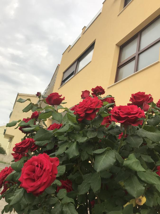 Apartman Mig سولين المظهر الخارجي الصورة