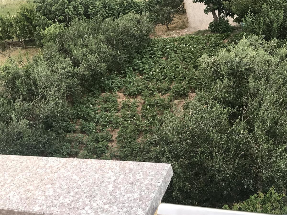 Apartman Mig سولين المظهر الخارجي الصورة